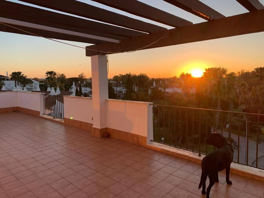 Atico Costa Ballena - Cadiz Rota Exteriér fotografie